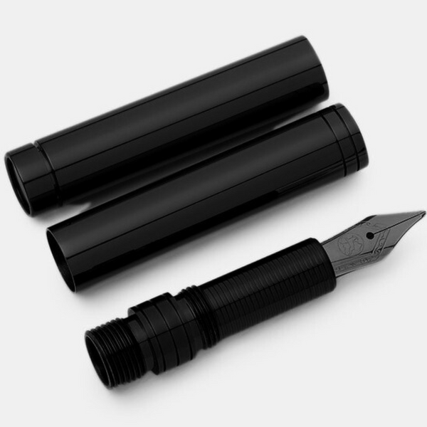 Black fountain pen with two ink cartridges on a white background