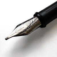 Stainless Steel Nib for Fountain Pens